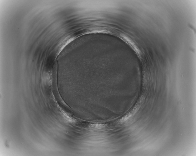 X0000094961377200712201150