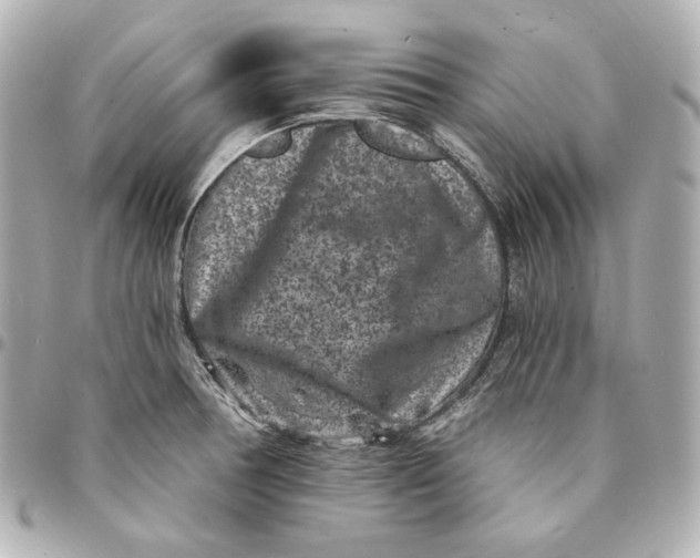 X0000094961378200712201150