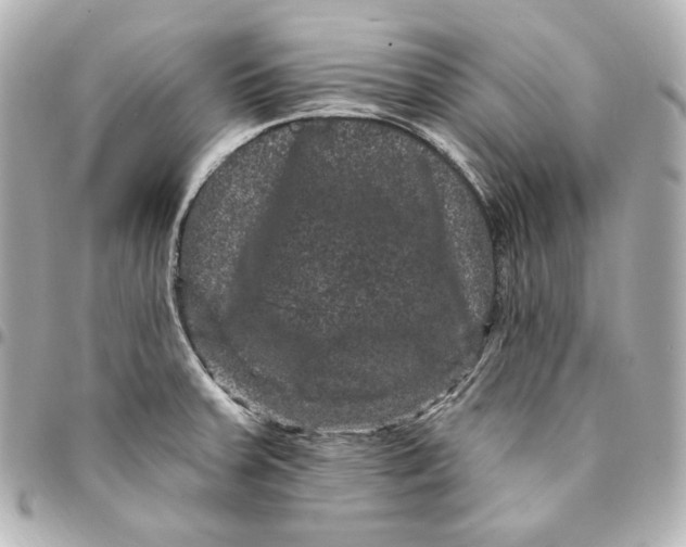 X0000094961379200712201150