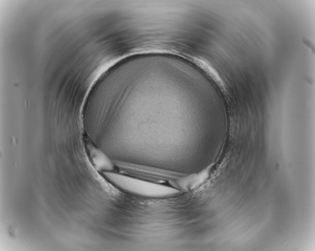 X0000094961380200712201150