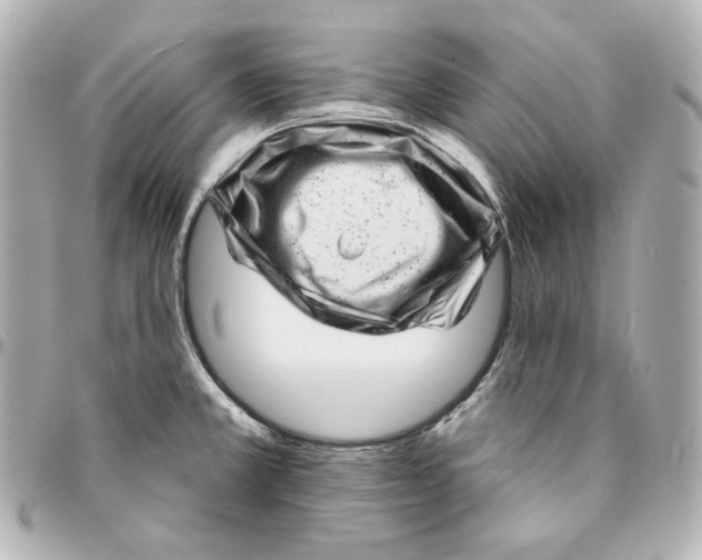 X0000094961381200712201150