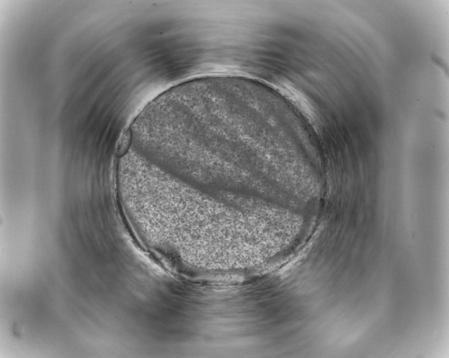 X0000094961382200712201150