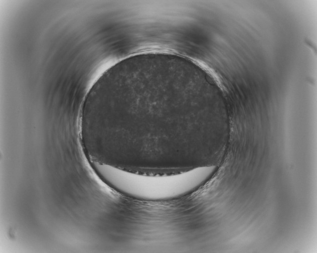 X0000094961383200712201150