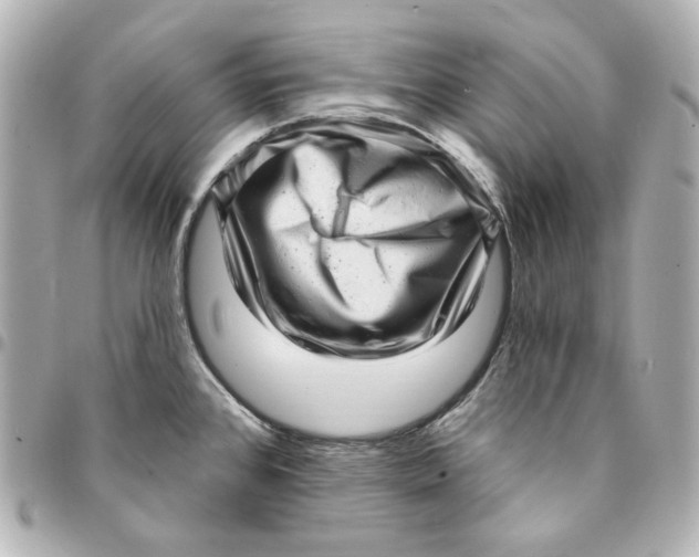 X0000094961384200712201150