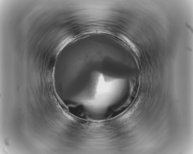 X0000094961385200712201150