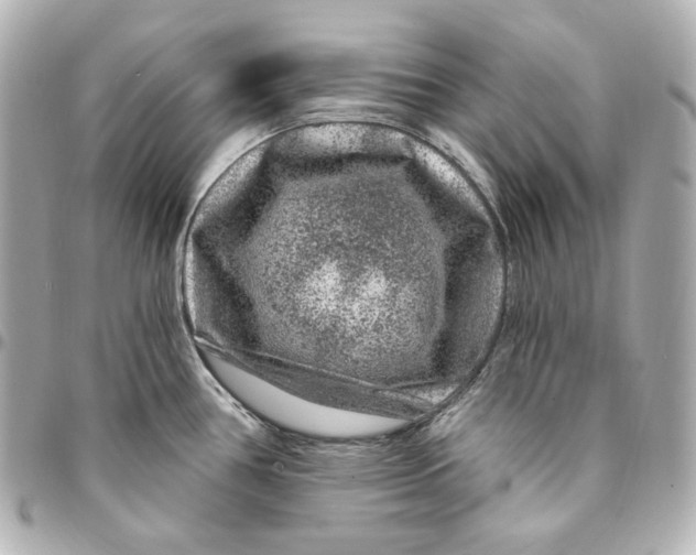 X0000094961386200712201150