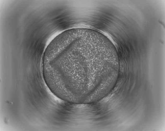 X0000094961387200712201150