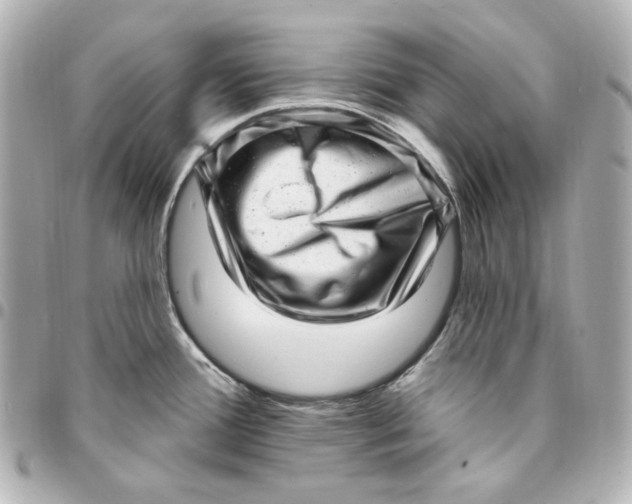 X0000094961388200712201150