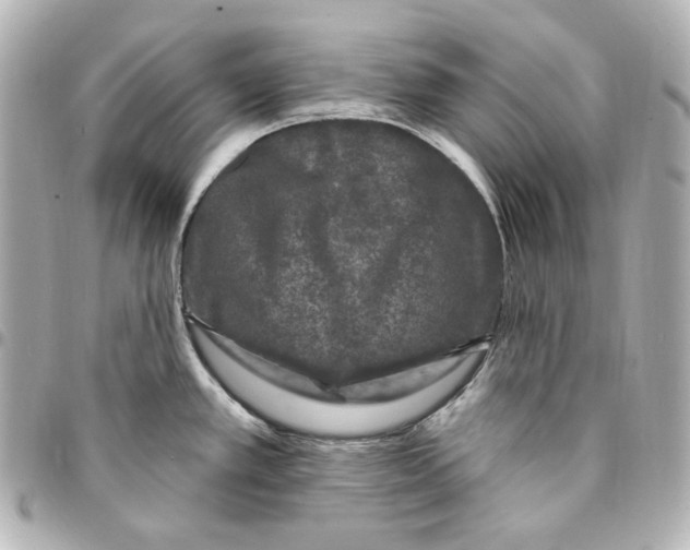 X0000094961389200712201150