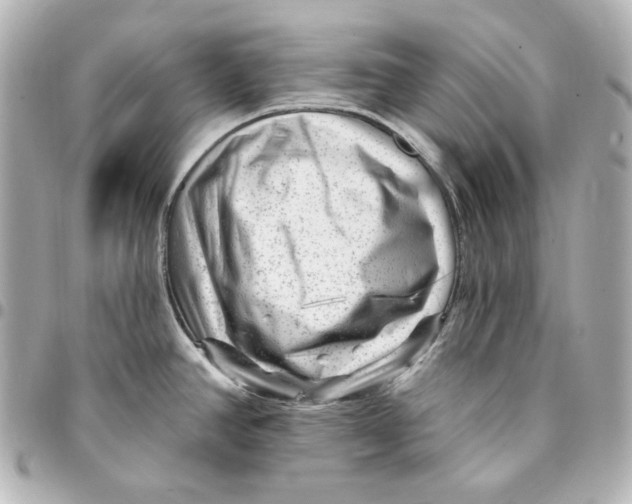 X0000094961390200712201150