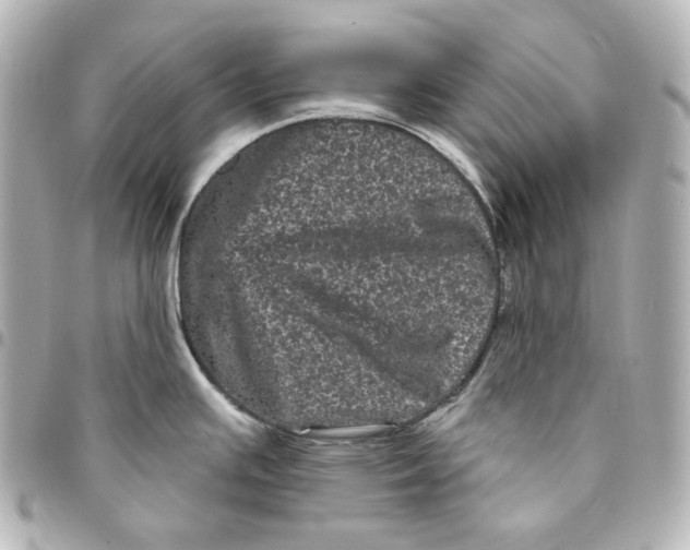 X0000094961391200712201150