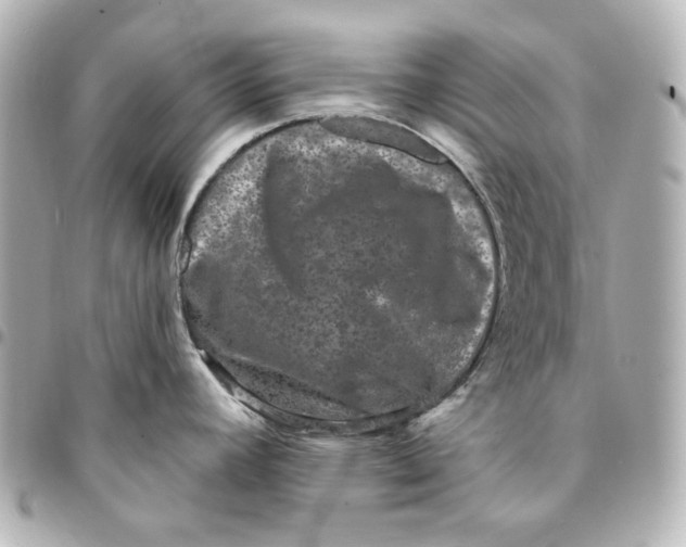 X0000094961392200712201150