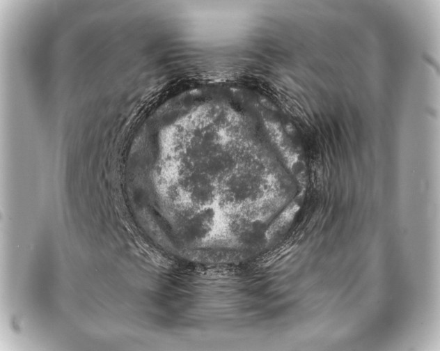 X0000094961393200712201149