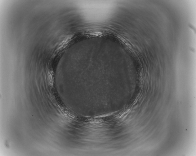 X0000094961394200712201149