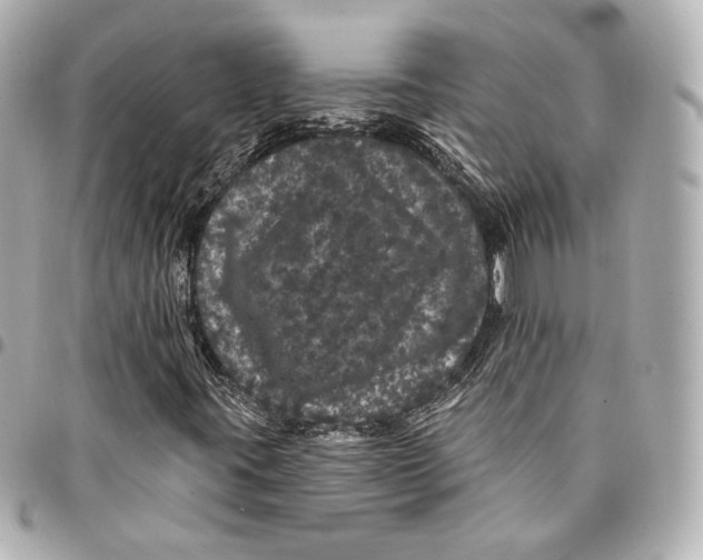 X0000094961395200712201149