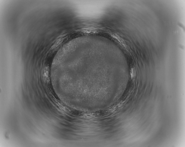 X0000094961396200712201149