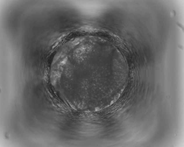 X0000094961397200712201149