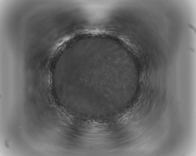 X0000094961398200712201149