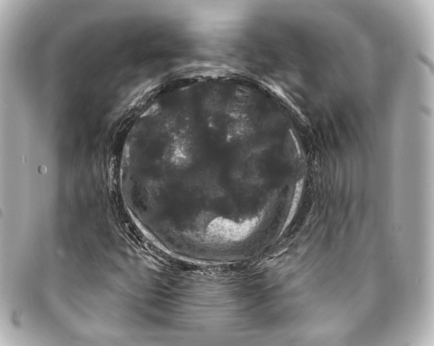 X0000094961399200712201149