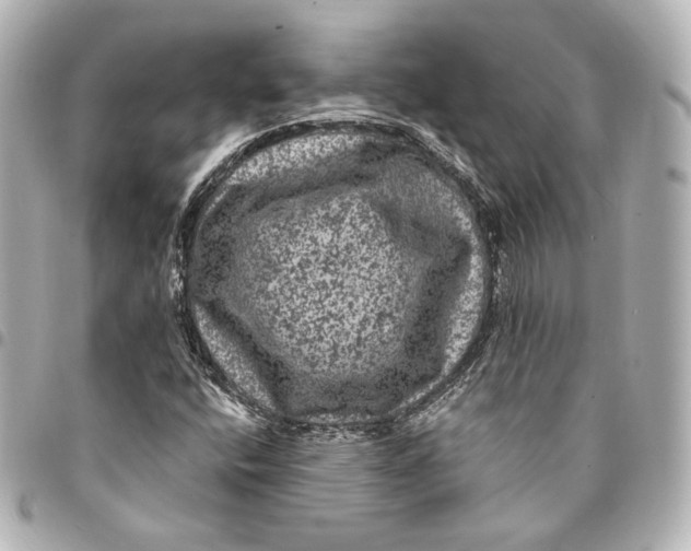 X0000094961400200712201149