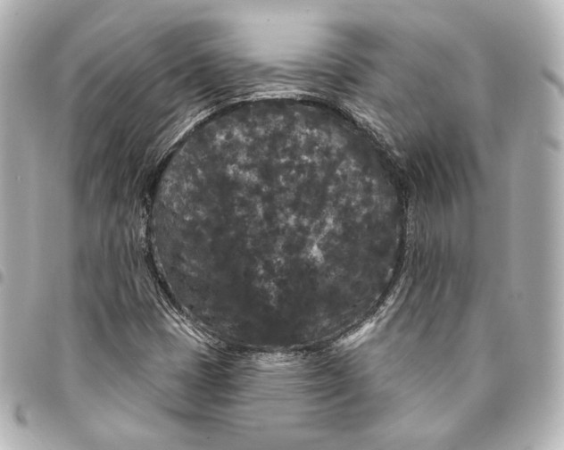 X0000094961401200712201149