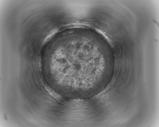 X0000094961403200712201149