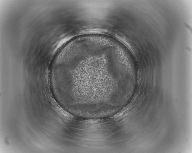 X0000094961404200712201149