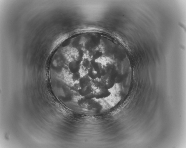 X0000094961405200712201149