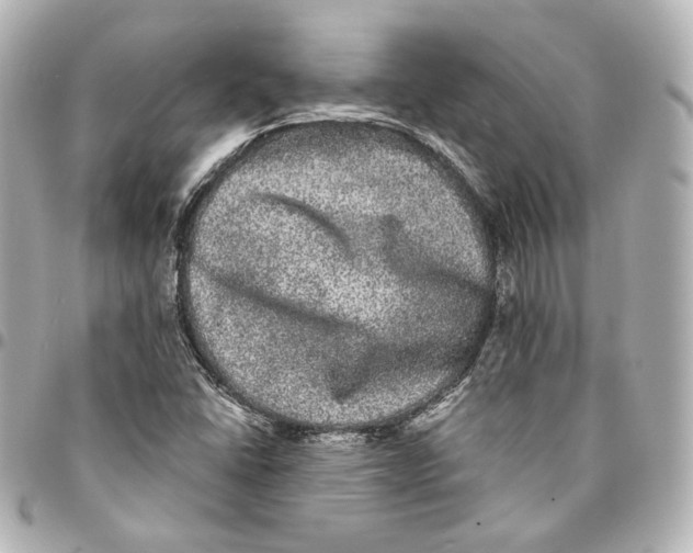 X0000094961406200712201149