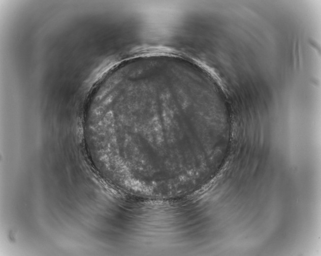 X0000094961407200712201149