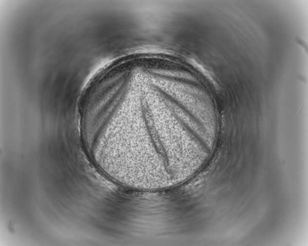 X0000094961408200712201149