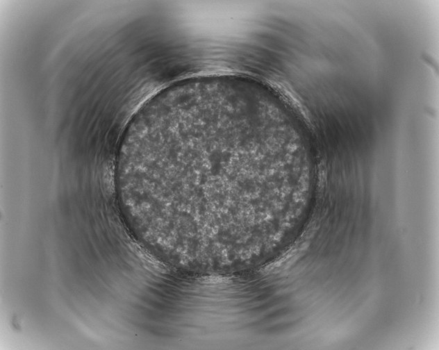 X0000094961409200712201149