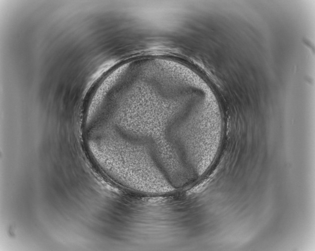 X0000094961410200712201149