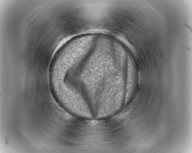 X0000094961412200712201149