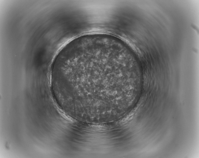 X0000094961413200712201149