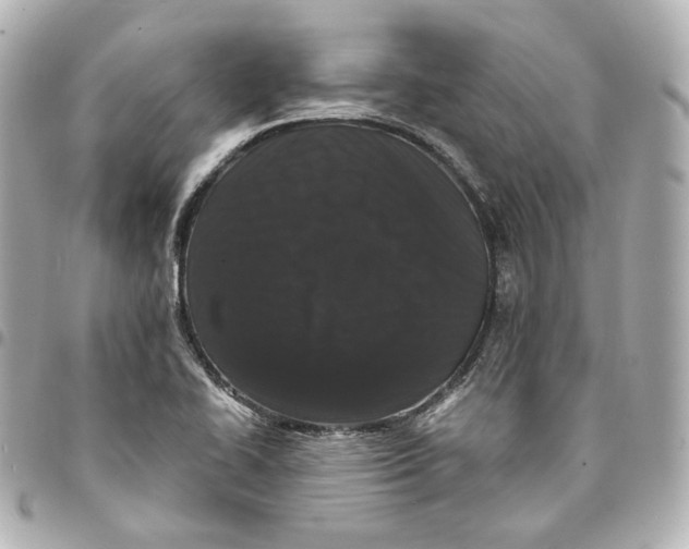 X0000094961414200712201149