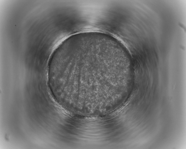 X0000094961415200712201149