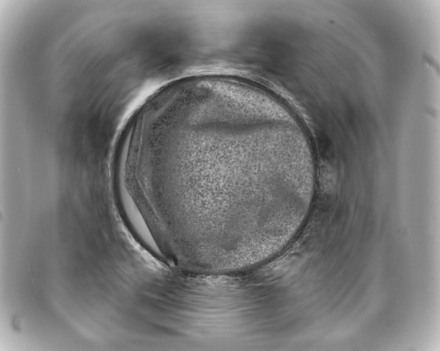 X0000094961416200712201149