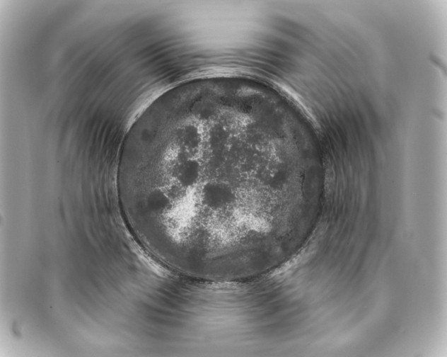 X0000094961417200712201149