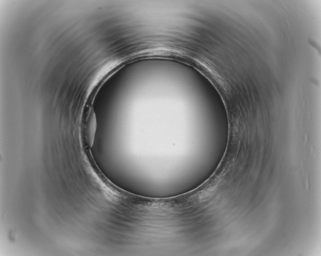 X0000094961418200712201149