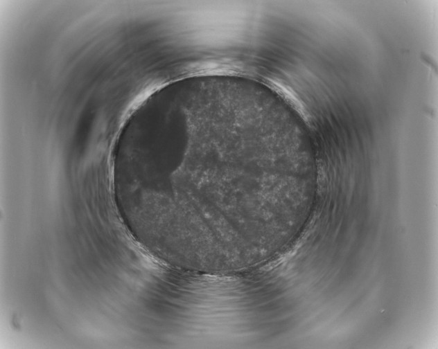 X0000094961419200712201149