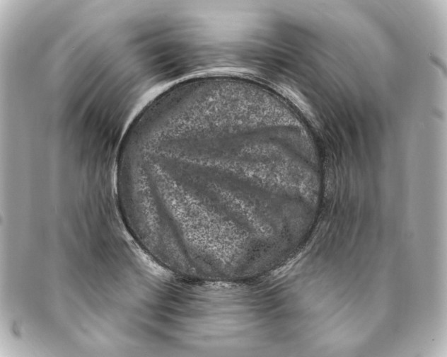 X0000094961420200712201149