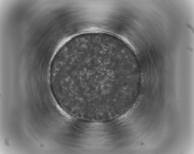 X0000094961421200712201149