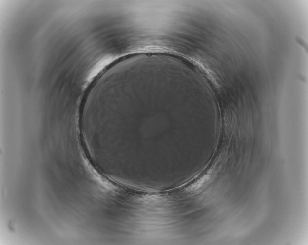 X0000094961422200712201149