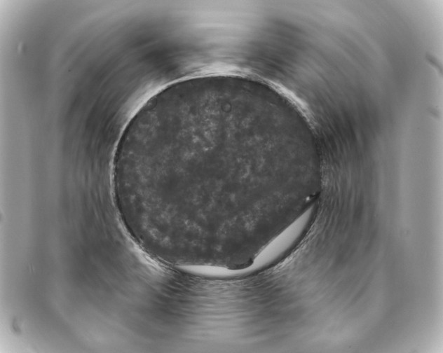 X0000094961423200712201149