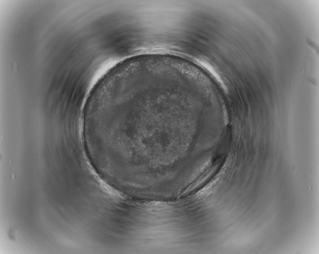 X0000094961424200712201149