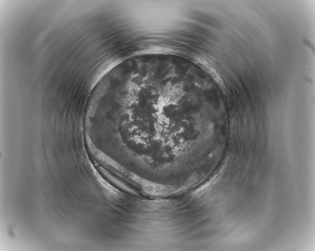 X0000094961425200712201149