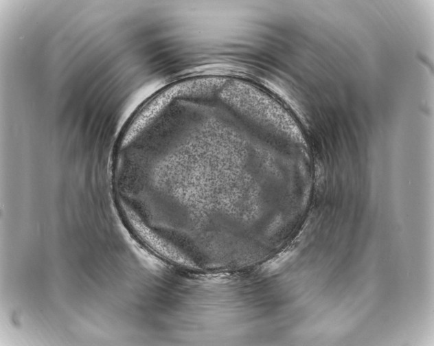 X0000094961426200712201149