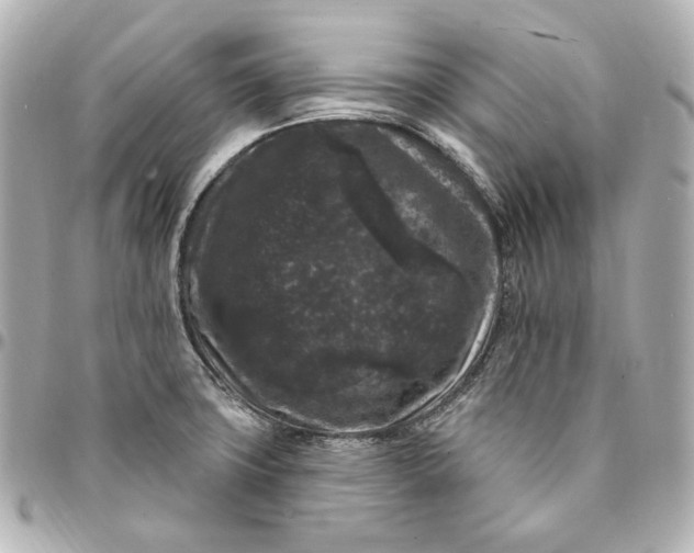 X0000094961427200712201149