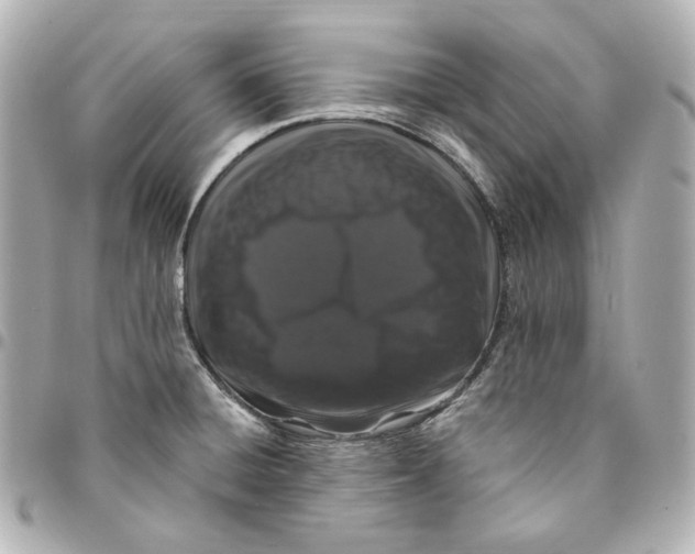 X0000094961428200712201149